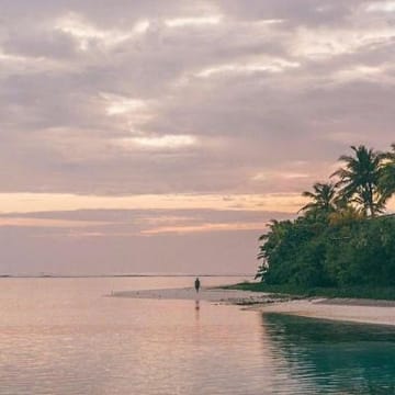 Ảnh đại diện người dùng Hoàng Kim